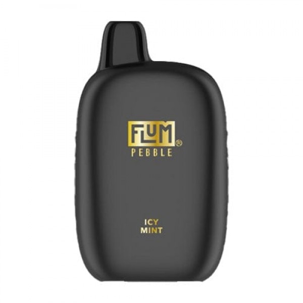 Flum Pebble Disposable Vape (5%, 6000 Puffs) - Icy Mint