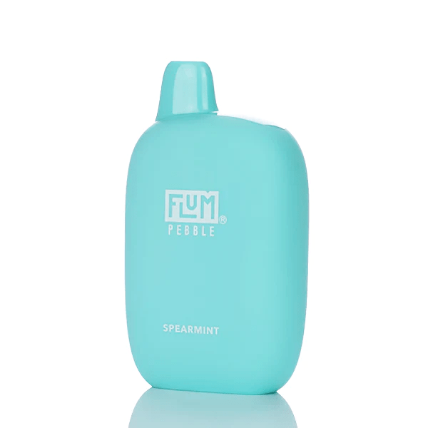 Flum Pebble Disposable Vape (5%, 6000 Puffs) - Spearmint