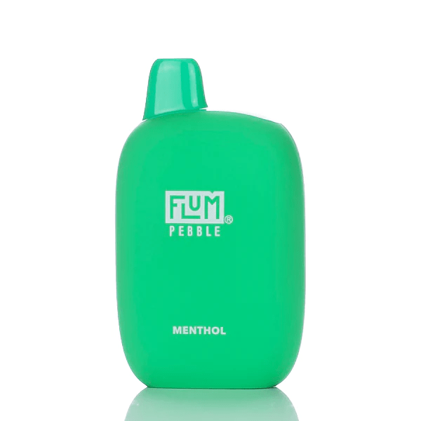 Flum Pebble Disposable Vape (5%, 6000 Puffs) - Menthol