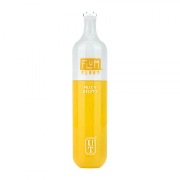 Flum Float Disposable Vape (5%, 3000 Puffs)