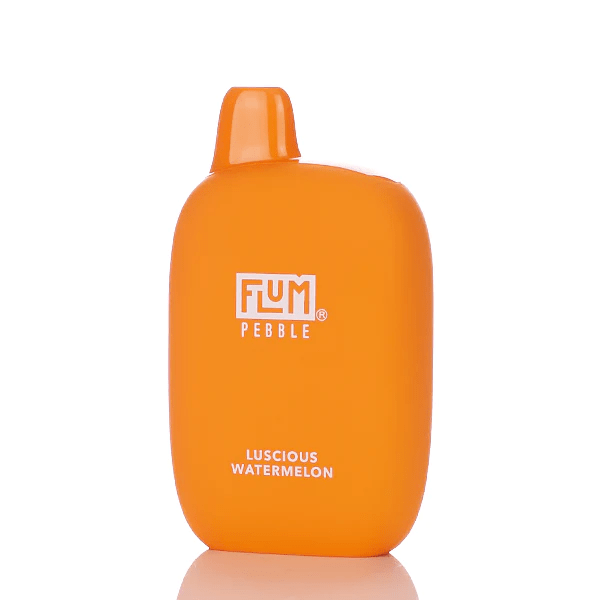 Flum Pebble Disposable Vape (5%, 6000 Puffs)